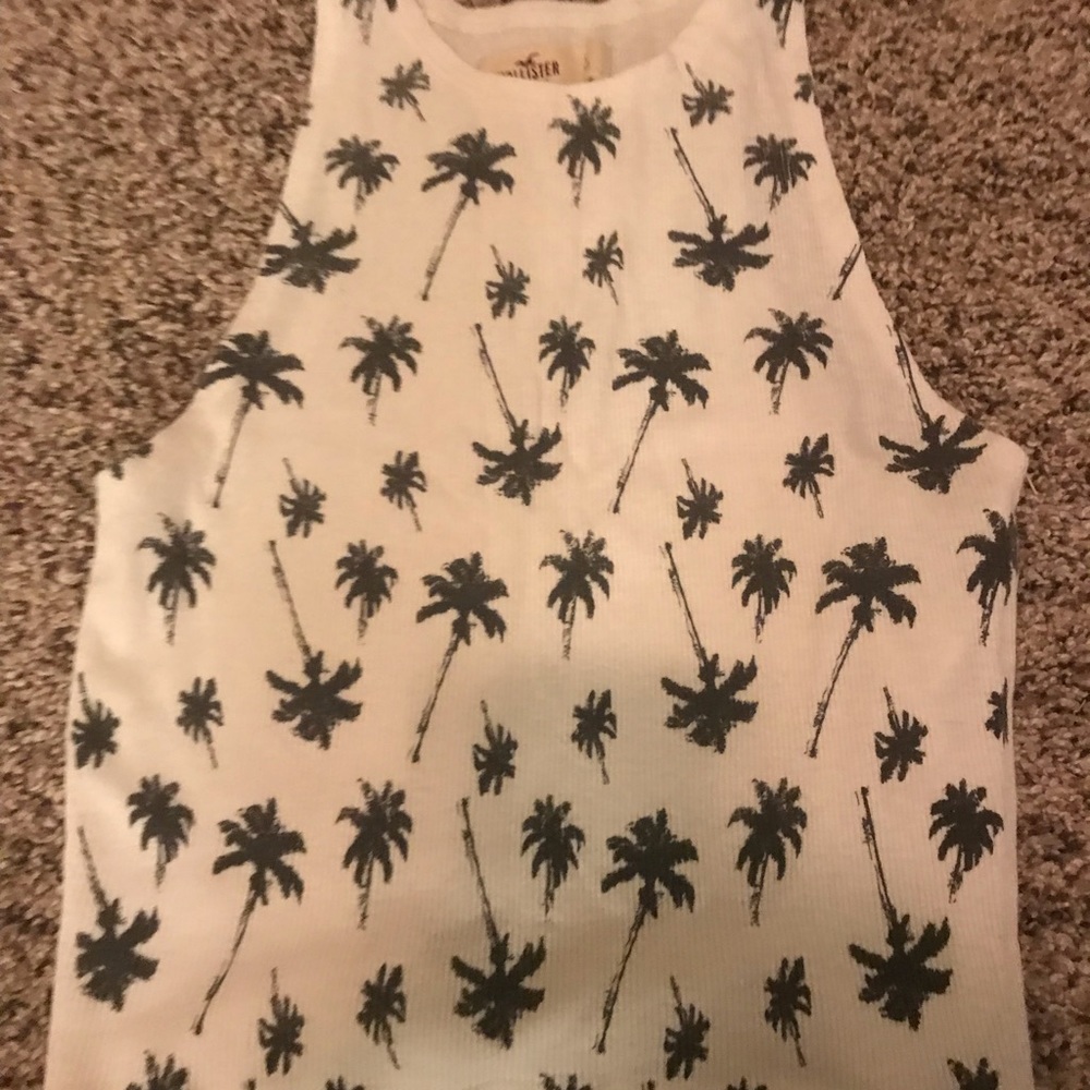 Palm tree crop top